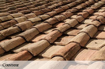 Couvreur Rhône