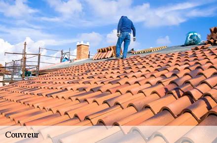 Couvreur Rhône