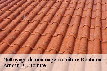 Nettoyage demoussage de toiture  rontalon-69510 Artisan FC Toiture