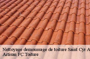 Nettoyage demoussage de toiture  saint-cyr-au-mont-d-or-69450 Artisan FC Toiture