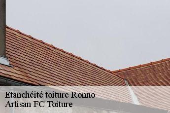 Etanchéité toiture  ronno-69550 Artisan FC Toiture