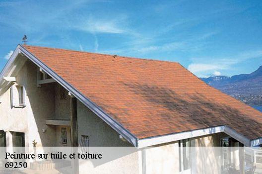 Peinture sur tuile et toiture  69250