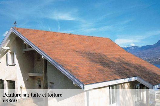 Peinture sur tuile et toiture  69860