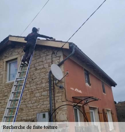 Recherche de fuite toiture Rhône 