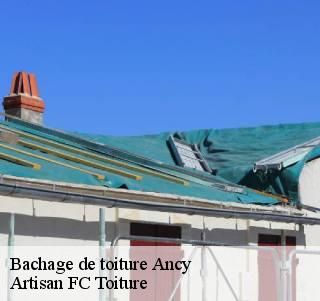 Bachage de toiture  ancy-69490 Artisan FC Toiture