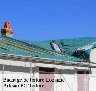 Bachage de toiture  lozanne-69380 Artisan FC Toiture