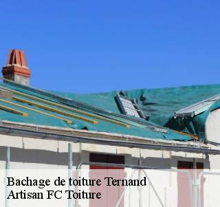 Bachage de toiture  ternand-69620 Artisan FC Toiture