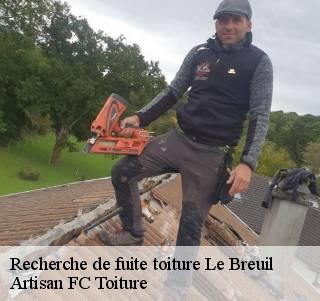 Recherche de fuite toiture  le-breuil-69620 Artisan FC Toiture